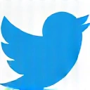 Icono de Twitter
